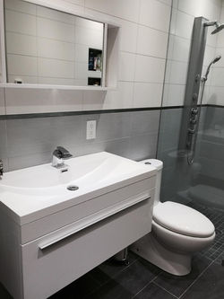 Queens Modern Bathroom