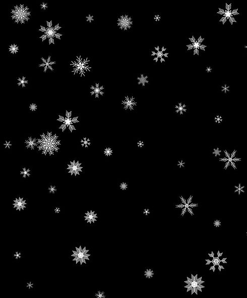 image1.jpeg