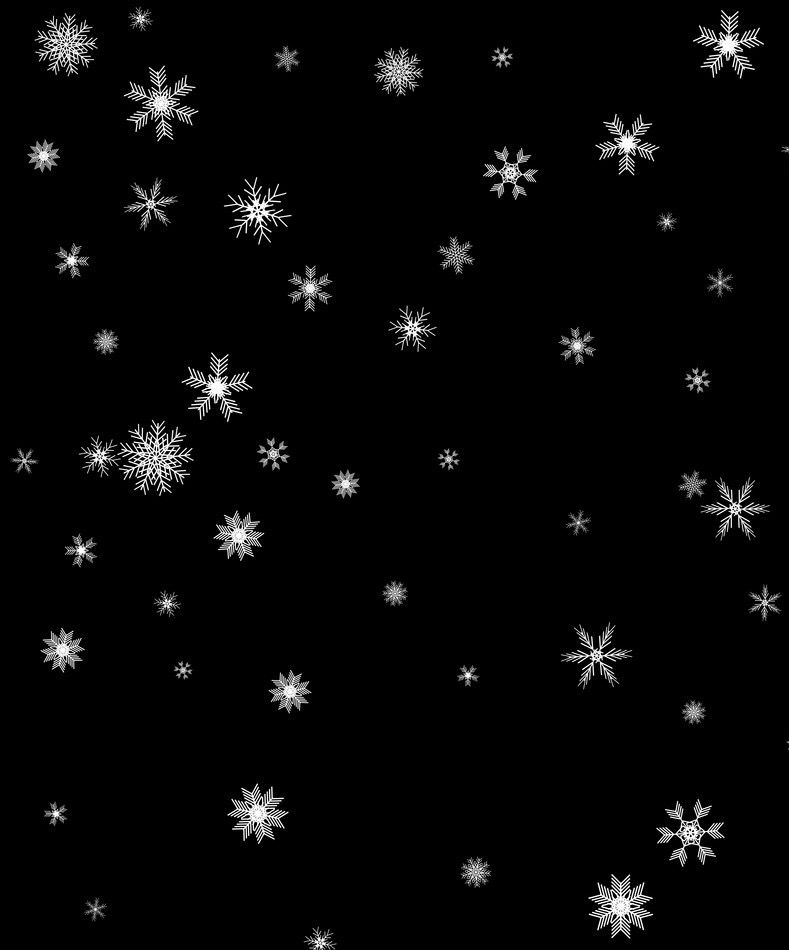 image1.jpeg