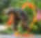 J58A3275 2_edited.jpg