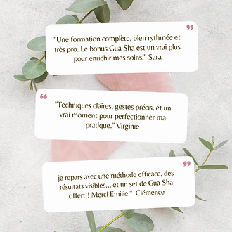 Avis