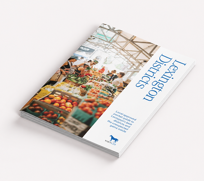 Lexington Districts brochure on rosy matte surface-1.png