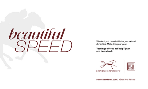 stonestreet farm yearling sale beautiful speed