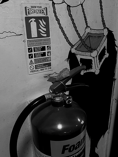 Screenshot 2025-03-11 at 11.44.17.png