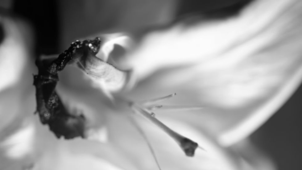 Frame 2-gigapixel-text-shapes-6x