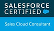 salescloud consultant.jpg