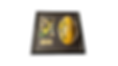 AFL (YouTube Thumbnail) (2).png