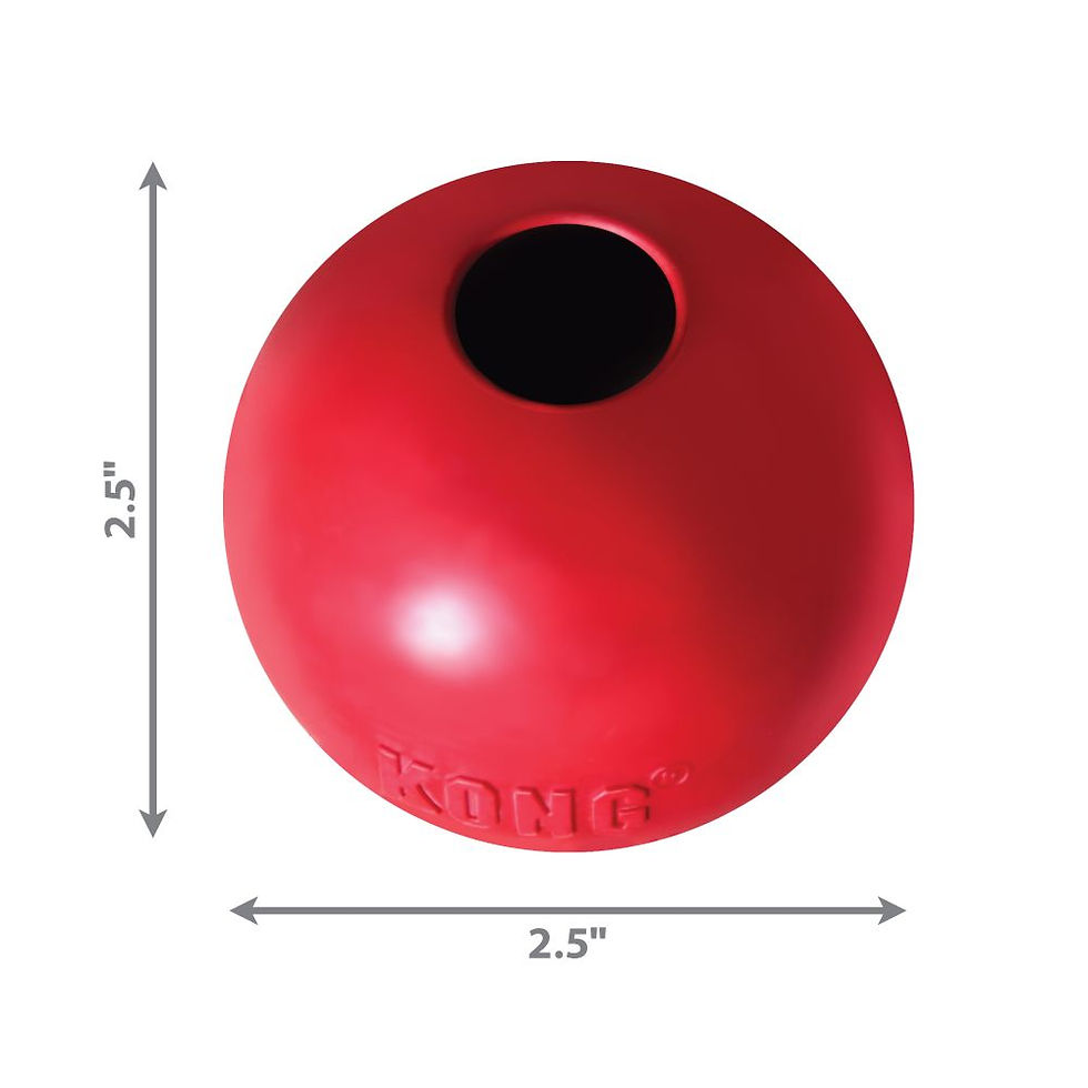 KONG Ball w/hole