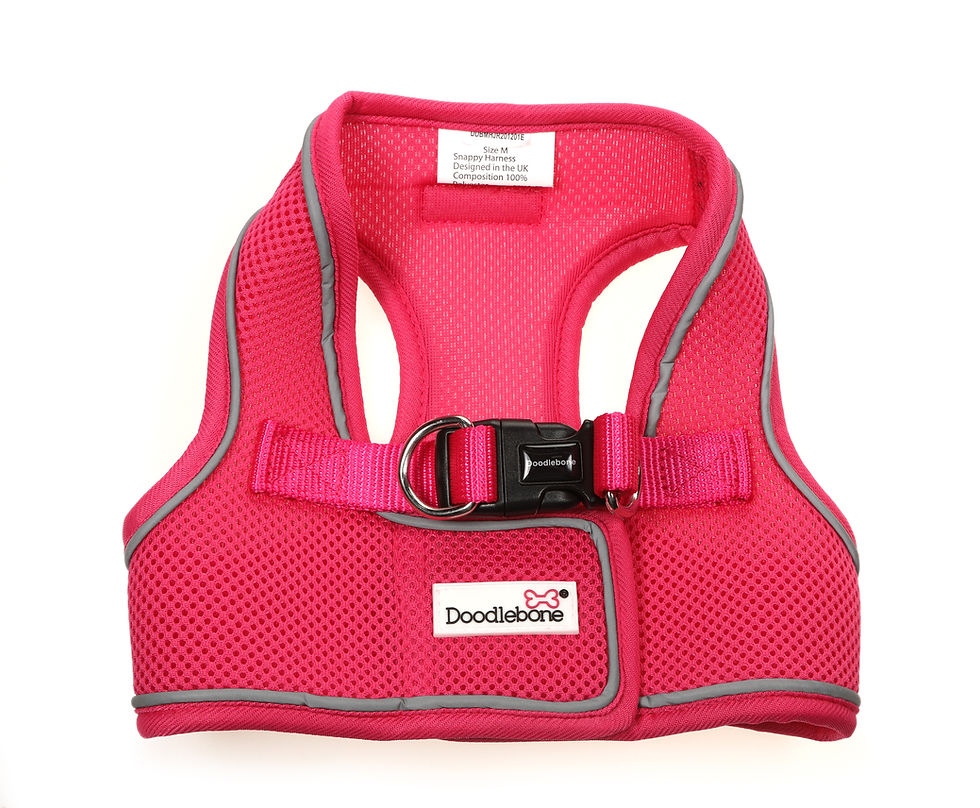 Fushsia (Neon Pink) Snappy Harness