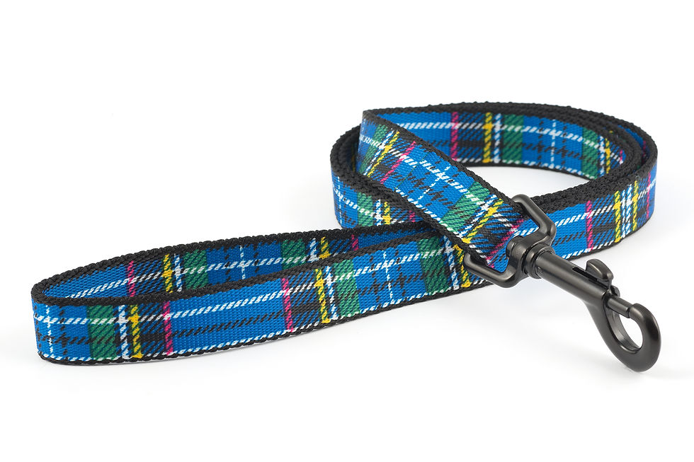 Tartan Lead