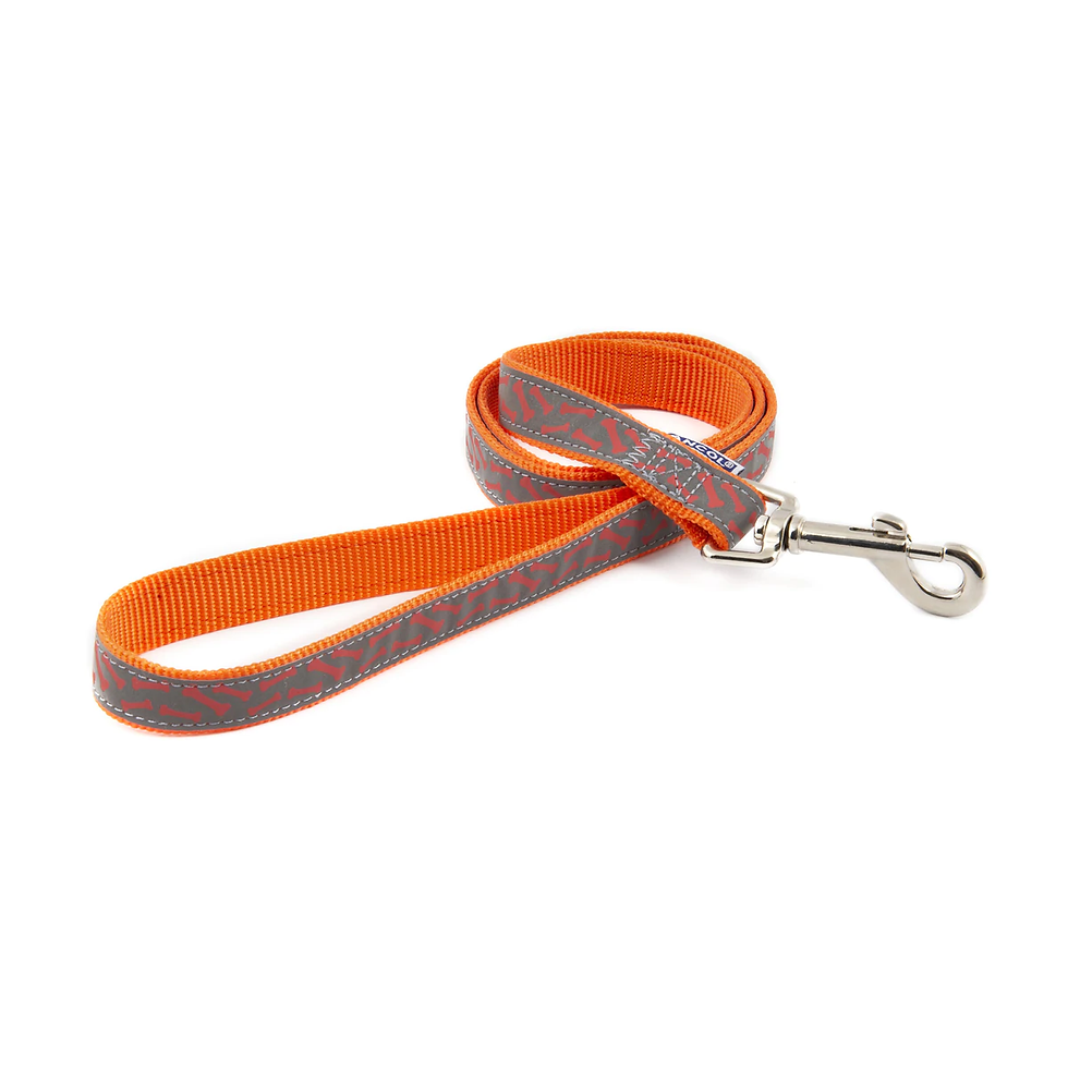 Orange Reflective Lead