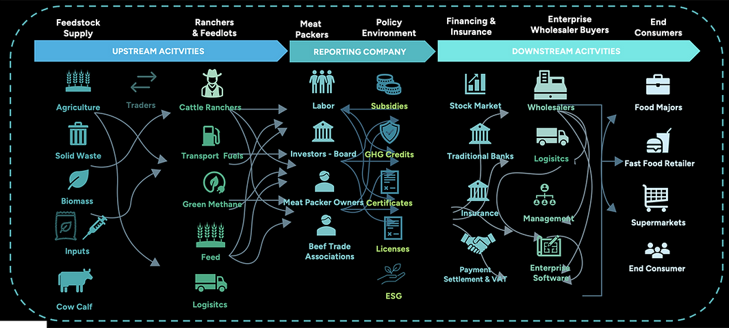 Beef Vallue Chain Challenge.png