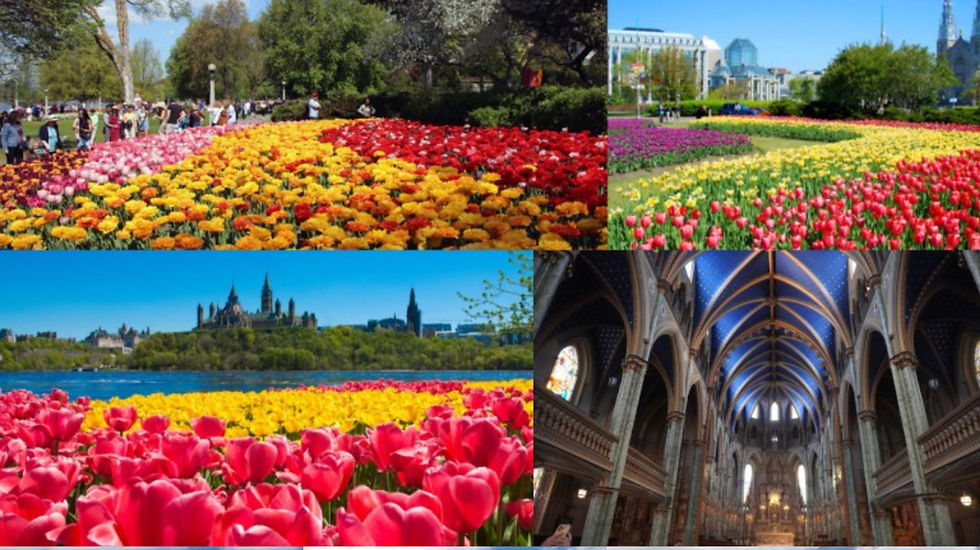 Canadian Tulip Festival