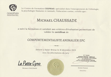 diplome comportementaliste