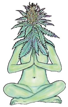 image%2520(2)_edited_edited.png