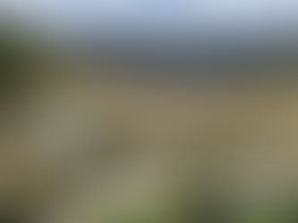 Un mese in Patagonia