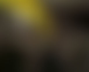 خۆپێشاندانی کوردانی سویسرا لە شاری زوریخ بو پاڵپشتی لە کوردانی ڕۆژئاوا و ڕۆژهەڵات