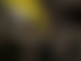 خۆپێشاندانی کوردانی سویسرا لە شاری زوریخ بو پاڵپشتی لە کوردانی ڕۆژئاوا و ڕۆژهەڵات