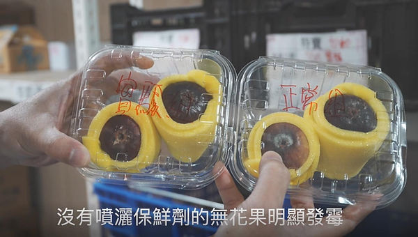 有使用碳晶讚保鮮製劑FRS與沒有使用的無花果兩者進行比較