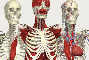 404036_7a700c0955934ba2acf6d8892ecb7c3a~