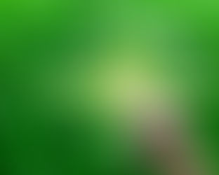 5 Tips To Improve Your Recycling Stream