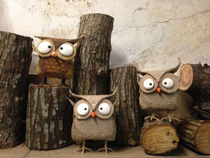 【10/31沿山里山藝術花季-貓頭鷹DIY創作】