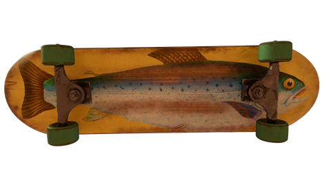 Skateboard Underside
