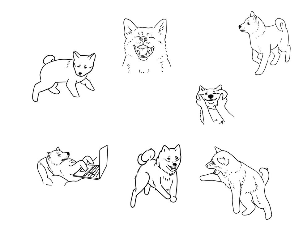 An Ode to Sachi the Shiba