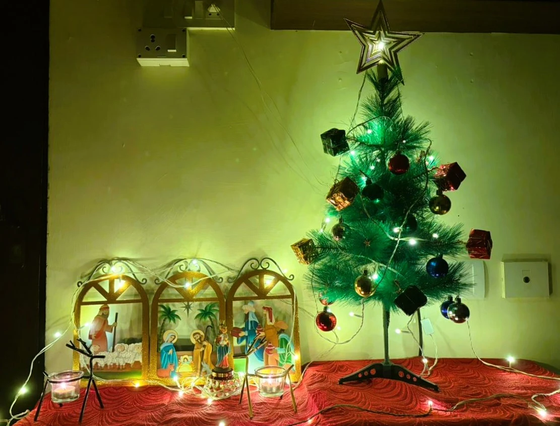 Our mini Christmas tree and lights in India