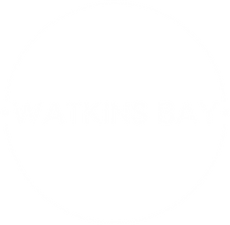 white_logo_transparent.png
