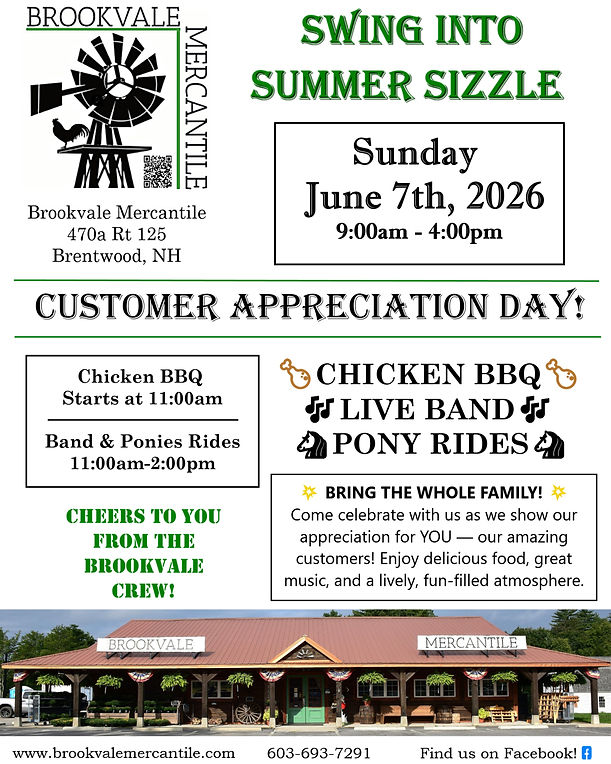 Swing into Summer Sizzle Flyer.jpg