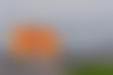 Race Report: Bommarito 500