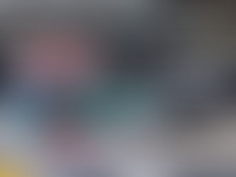 Race Report: Genesys 300