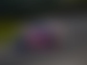 Qualifying Report: Honda Indy 200 at Mid-Ohio