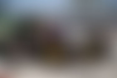 Race Report: Acura Grand Prix of Long Beach