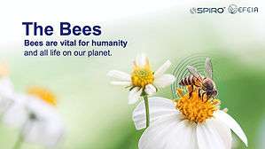 SPIRO HIVE PROTECTION (dragged).jpg