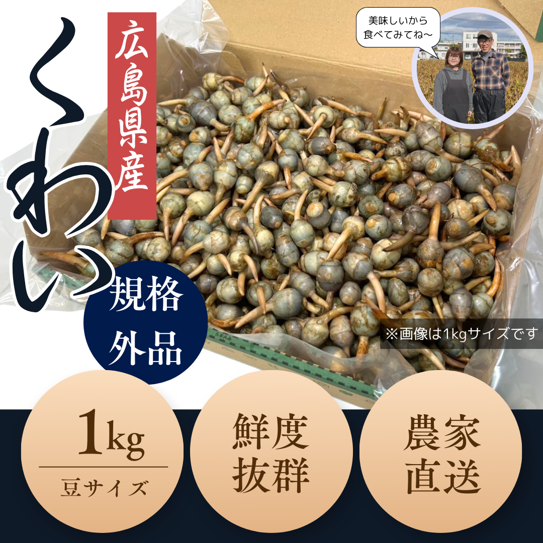 くわい 豆サイズ(1kg)|規格外品
