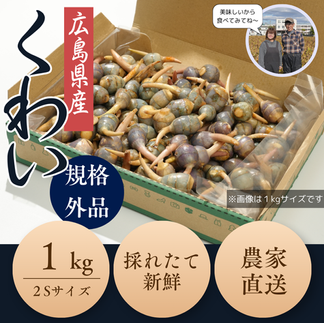 クワイ2Sサイズ