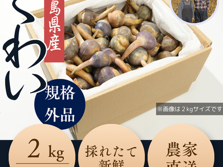 くわいの通常販売開始しました