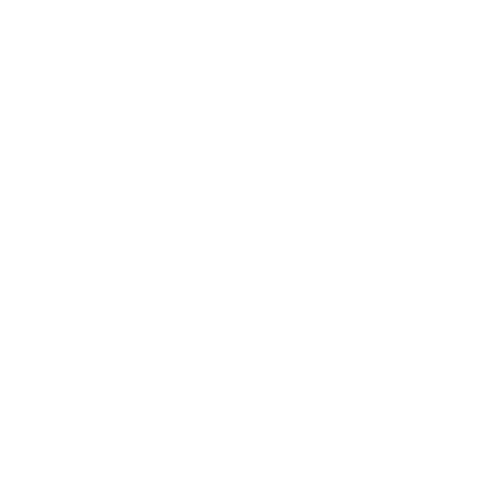 The Daily Brew (ザ デイリーブリュー)