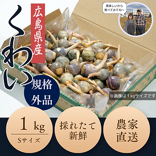 クワイSサイズ