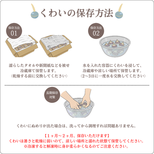 くわい　L800g✖️2 9876円 くわい L .2L サイズ（1kg） | 備後くわいの里
