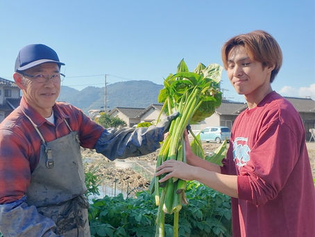 くわいの葉を使った和紙作り！？大学生の挑戦！