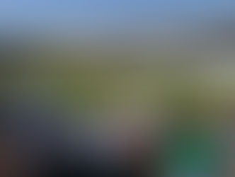 Waste Management Phoenix Open Named 2018 Tournament of the Year