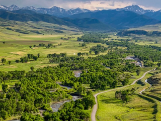 Pivot Paper - Real Estate 2026