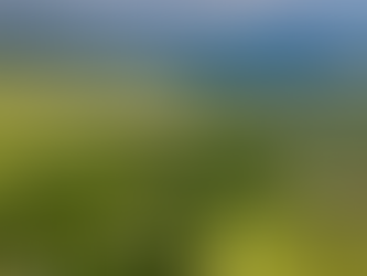 Pivot Paper - Real Estate 2026