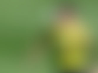 James no se entrenó pero podrá jugar en el debut de Colombia