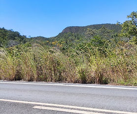 Terreno próximo a rodovia GO-239 na Chapada dos Veadeiros