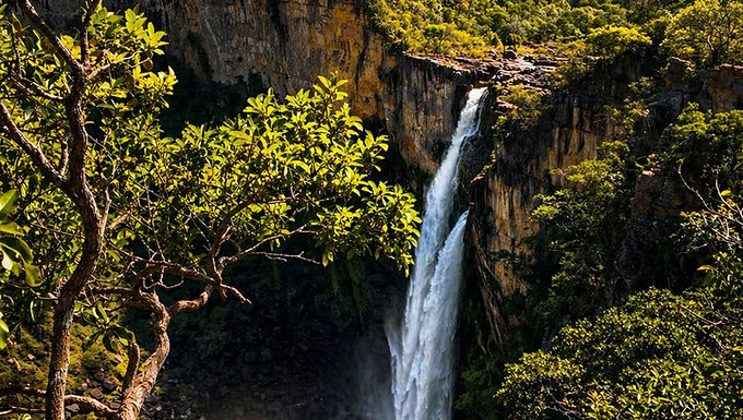 Saltos do Rio Preto, Chapada dos Veadeiros – uma das maiores cachoeiras de Goiás