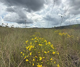 Terreno à venda próximo ao Vale da Lua – Chapada dos Veadeiros